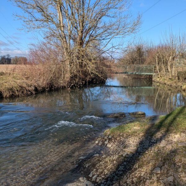 Rivière et espaces naturels près du Gite aux Roses Rouges en Bourgogne près de Beaune en Cote d'Or