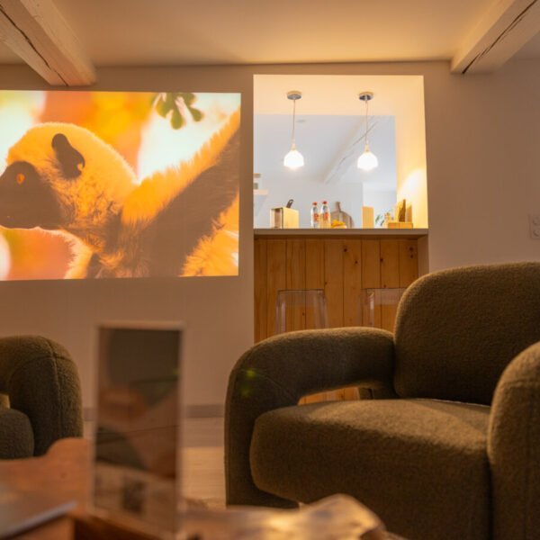Salon avec retro projecteur du Gite Ô pied du château à Sedan dans les Ardennes dans le Grand Est