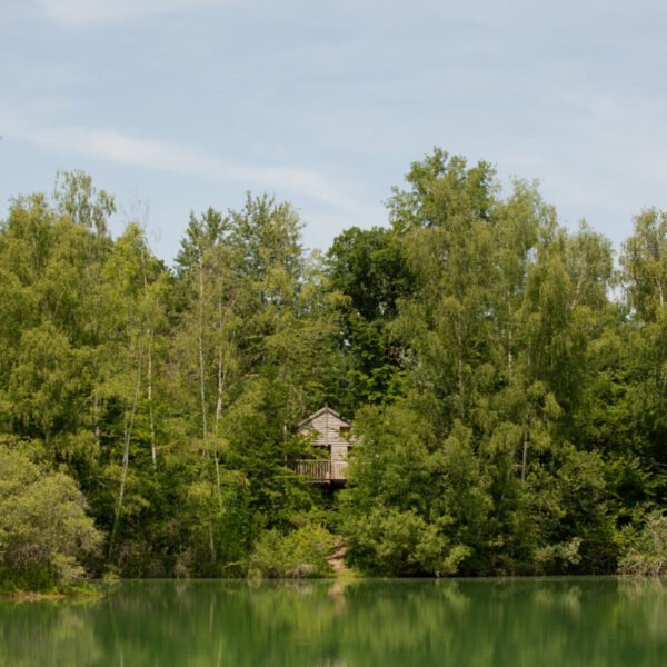 Les Cabanes de La Réserve