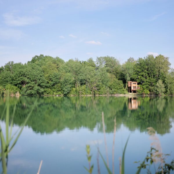 Les Cabanes de La Réserve