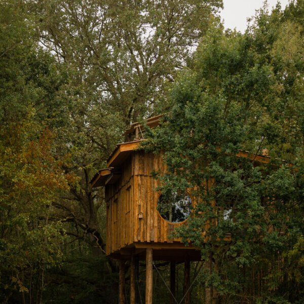 Cabane SPA perchée dans les arbres à Cabanes de La Réserve à Saint-Léger-aux-Bois en Oise, Hauts de France