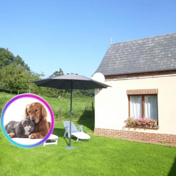 Chiens et chats acceptés au Gite Chez Marguerite à Saint Blimont dans la Somme , Hauts-de-France