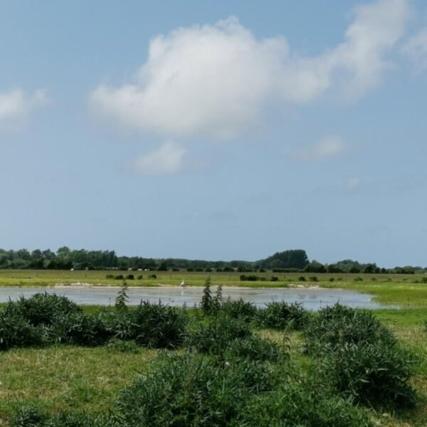 Gîtes Les Mollières de l'Ecluse