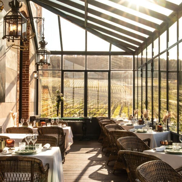 Terrasse au Château de Sacy à Saucy en Marne dans le Grand Est