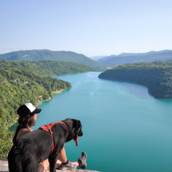 Chien dans la nature avec Patte sur l'aventure - Activités et Tourisme Outdoor à Lavancia-Epercy en Jura en Bourgogne-Franche-Comté