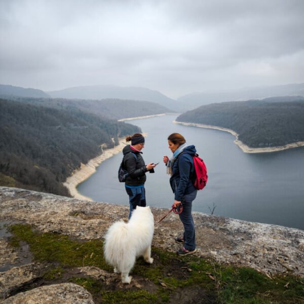 Randonnes avec Patte sur l'aventure - Activités et Tourisme Outdoor à Lavancia-Epercy en Jura en Bourgogne-Franche-Comté