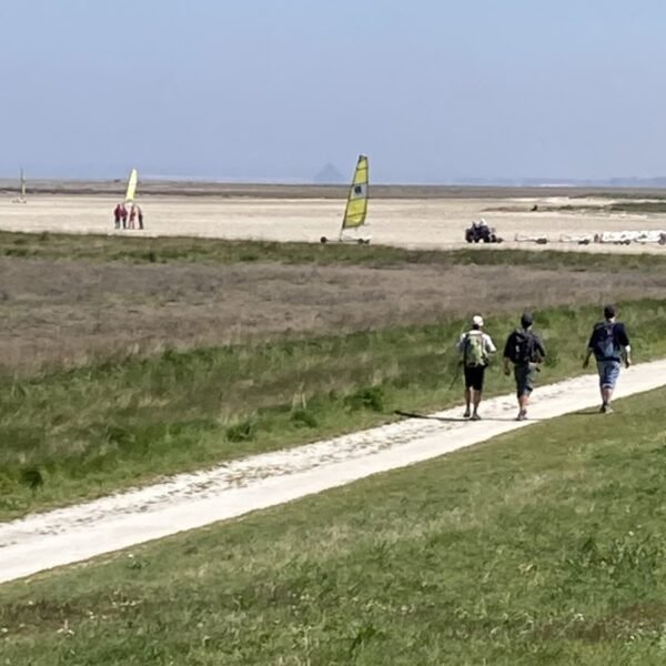 Nature à la sortie du gite Les Herbes Maritimes à Hirel en Ille-et-Vilaine en Bretagne