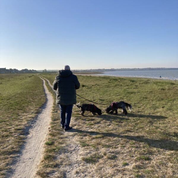 Promenade en pleine nature avec chiens à proximité du gite Les Herbes Maritimes à Hirel en Ille-et-Vilaine en Bretagne