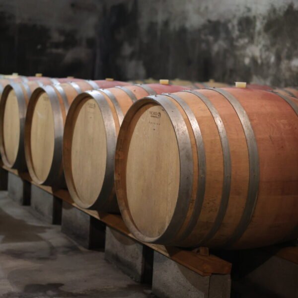 Vins au Domaine du Vieux Pressoir à Vaudelnay en Maine-et-Loire dans le Pays de la Loire