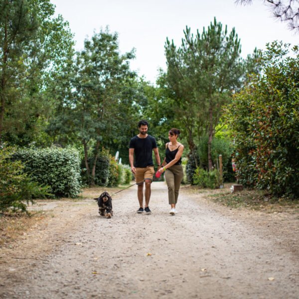 Chiens acceptés au Camping Sea Green Le Paradis à Talmont-Saint-Hilaire en Vendée dans le Pays de la Loire