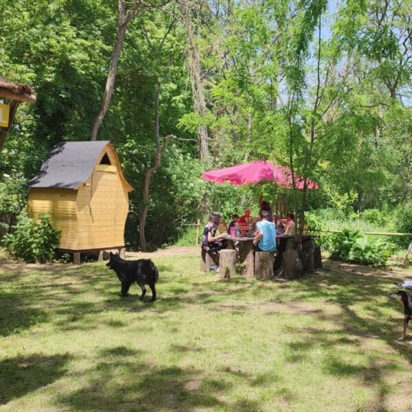 Nature et chiens à Naturokayarc à Lapenne en Ariège en Occitanie