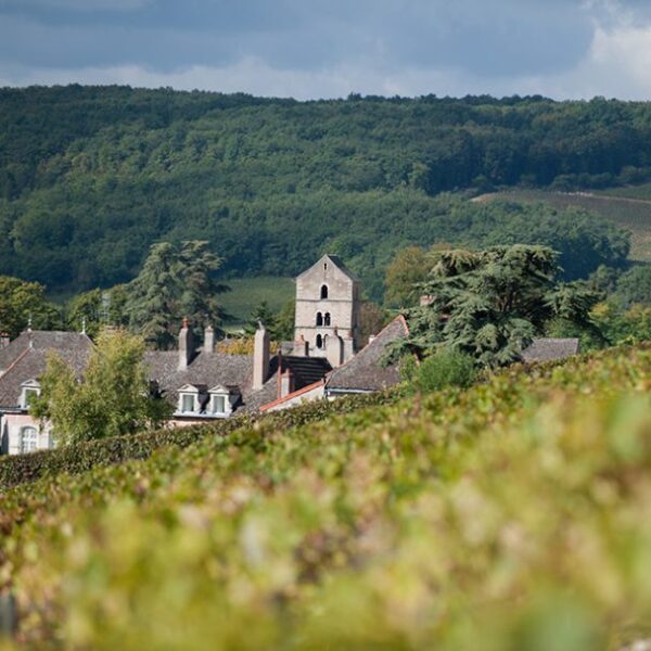 Vue du Rully au Vignoble Domaine Ninot à Rully en Saône-et-Loire en Bourgogne-Franche-Comté