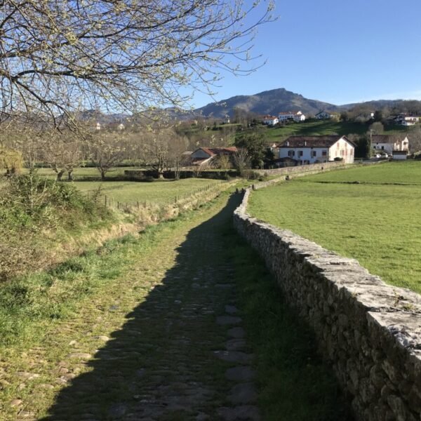 Gîte Usoak