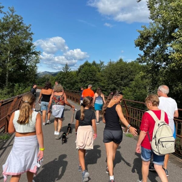 Camping Paradis Family Les Issoux d'Ardèche****
