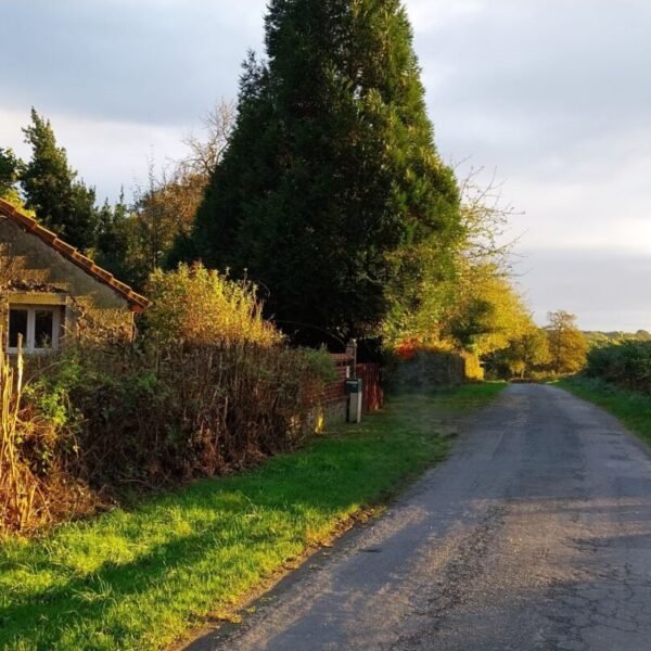 Nature au Gite Traitsanes en Berry à Préveranges en Cher dans le Centre-Val de Loire
