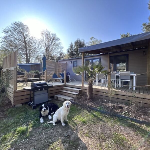 Camping La Cailletière