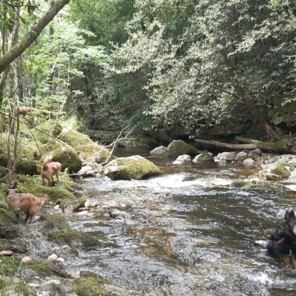 Camping le Pastural