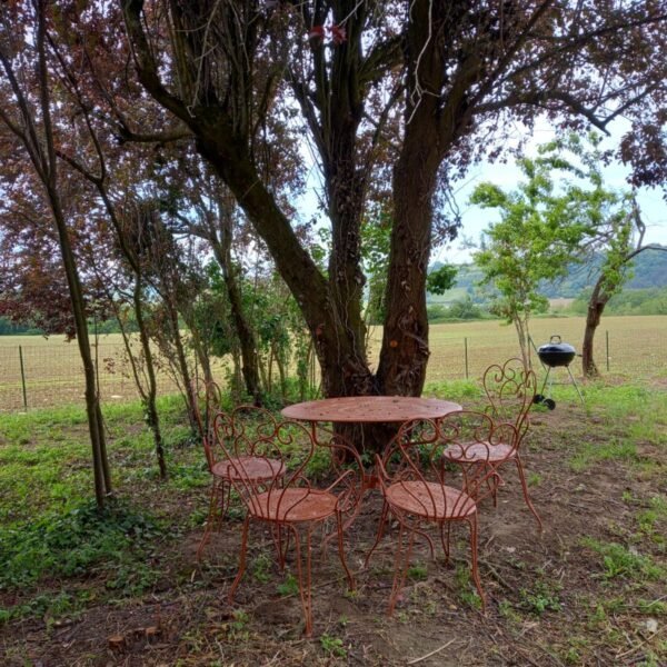 Table avec chaises dans le jardin de la Gite Fleuri à Châteauneuf-de-Galaure dans le Drôme en Auvergne-Rhône-Alpes