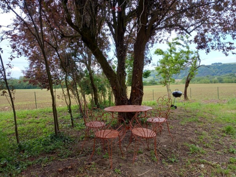Table avec chaises dans le jardin de la Gite Fleuri à Châteauneuf-de-Galaure dans le Drôme en Auvergne-Rhône-Alpes