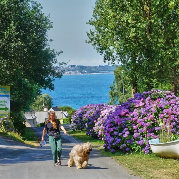 Un chien et sa propriétaire qui se promènent au camping Cap de Bréhat dans les Cotes d'Armor