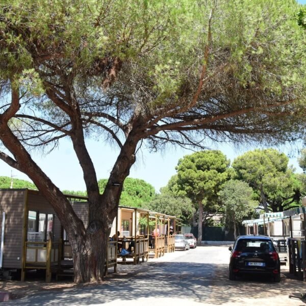 Vue extérieure du Camping le Méditerranée à Hyères dans le Var en Provence-Alpes-Côte d'Azur