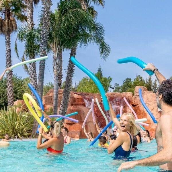 Aquagym au Camping Les Palmiers à Hyères dans le Var en Provence-Alpes-Côte d'Azur