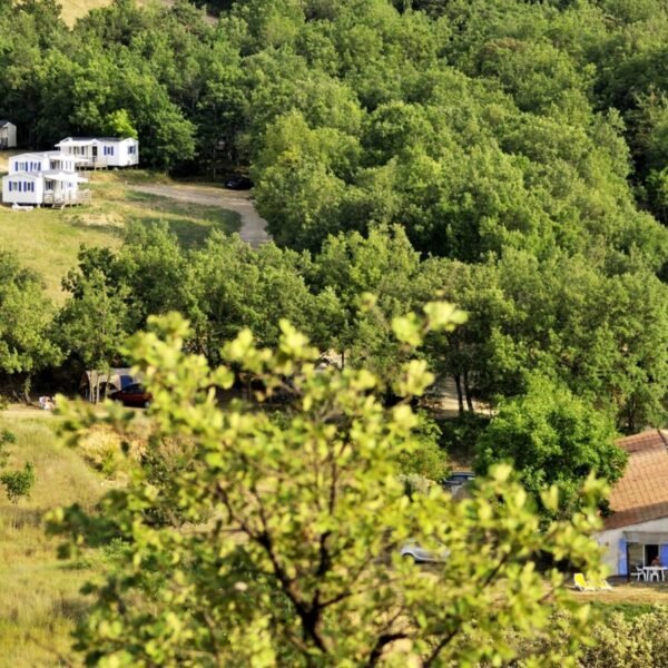 Vue du Camping NATURISTE le Petit Arlane à Valensole dans le Alpes-de-Haute-Provence en Provence-Alpes-Côte d'Azur