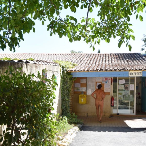 Réception au Camping NATURISTE le Petit Arlane à Valensole dans le Alpes-de-Haute-Provence en Provence-Alpes-Côte d'Azur