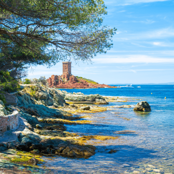 Plage D'amont au Camping La Vallée du Paradis à Saint-Raphaël dans le Var en Provence-Alpes-Côte d'Azur
