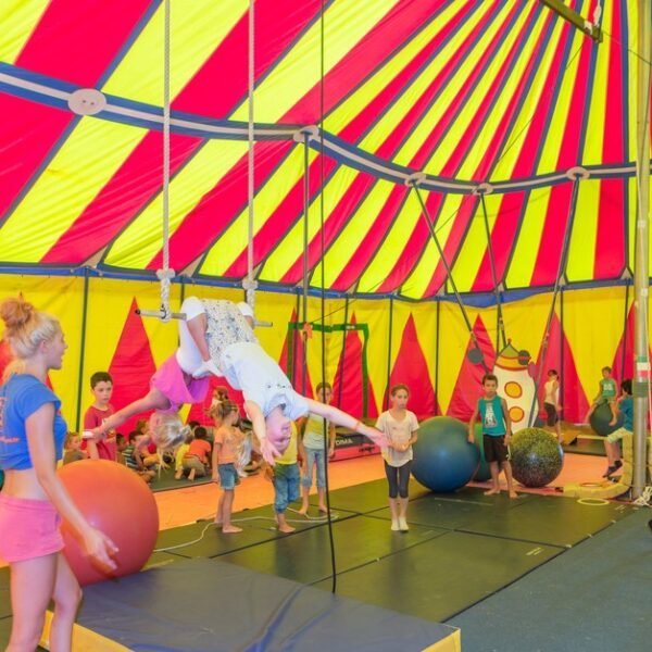 Animations du camping La Palmyre qui accepte les animaux.