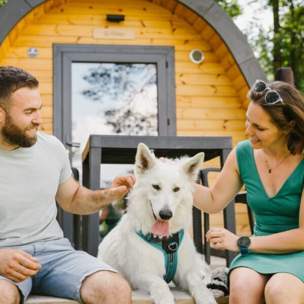 Camping Serendipité