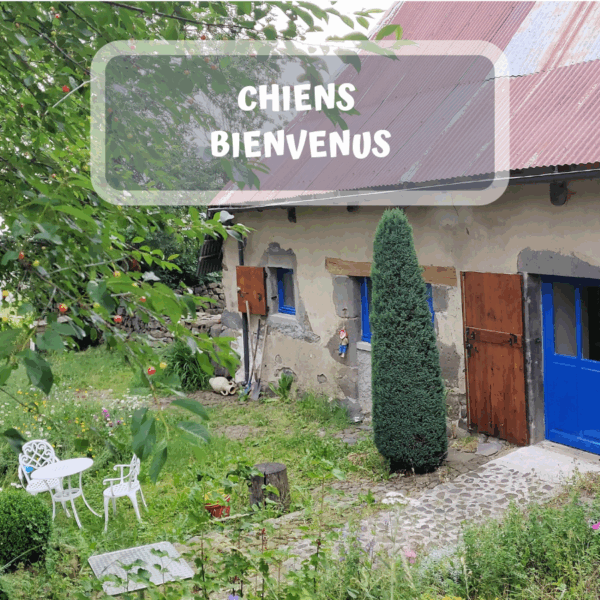 Jardin clos et Accueil 100% Dogfriendly à La Bergerie du Sancy – Volcans à 4 Pattes en Auvergne dans le Puy de Dôme
