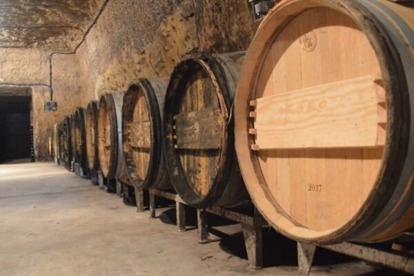 Vignoble Domaine Thierry et Tanguy Cosme
