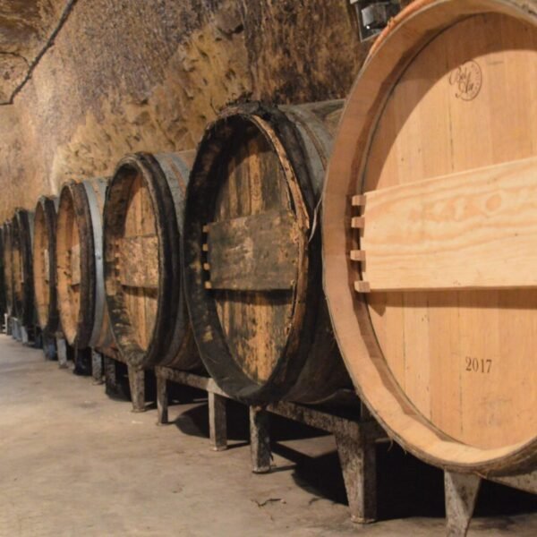 Vins chez Domaine Thierry Cosme à Noizay en Indre-et-Loire en Centre-Val de Loire
