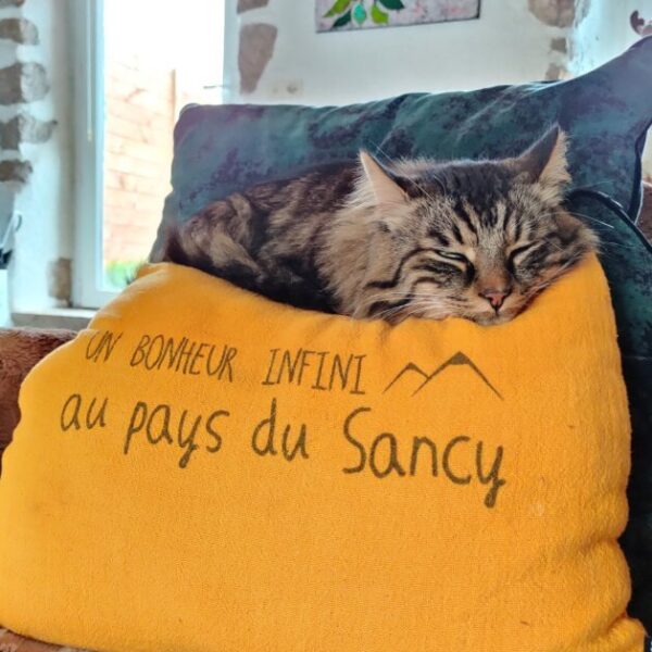 Chats acceptés à La Bergerie du Sancy-Volcans à 4 Pattes en Picherande à Puy-de-Dôme en Auvergne-Rhône-Alpes