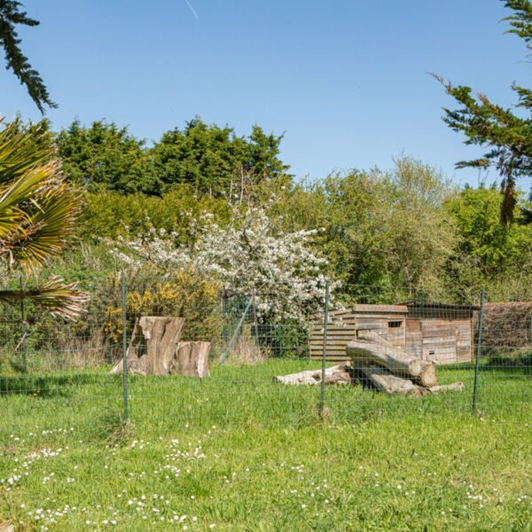 Gîte Mont Magique