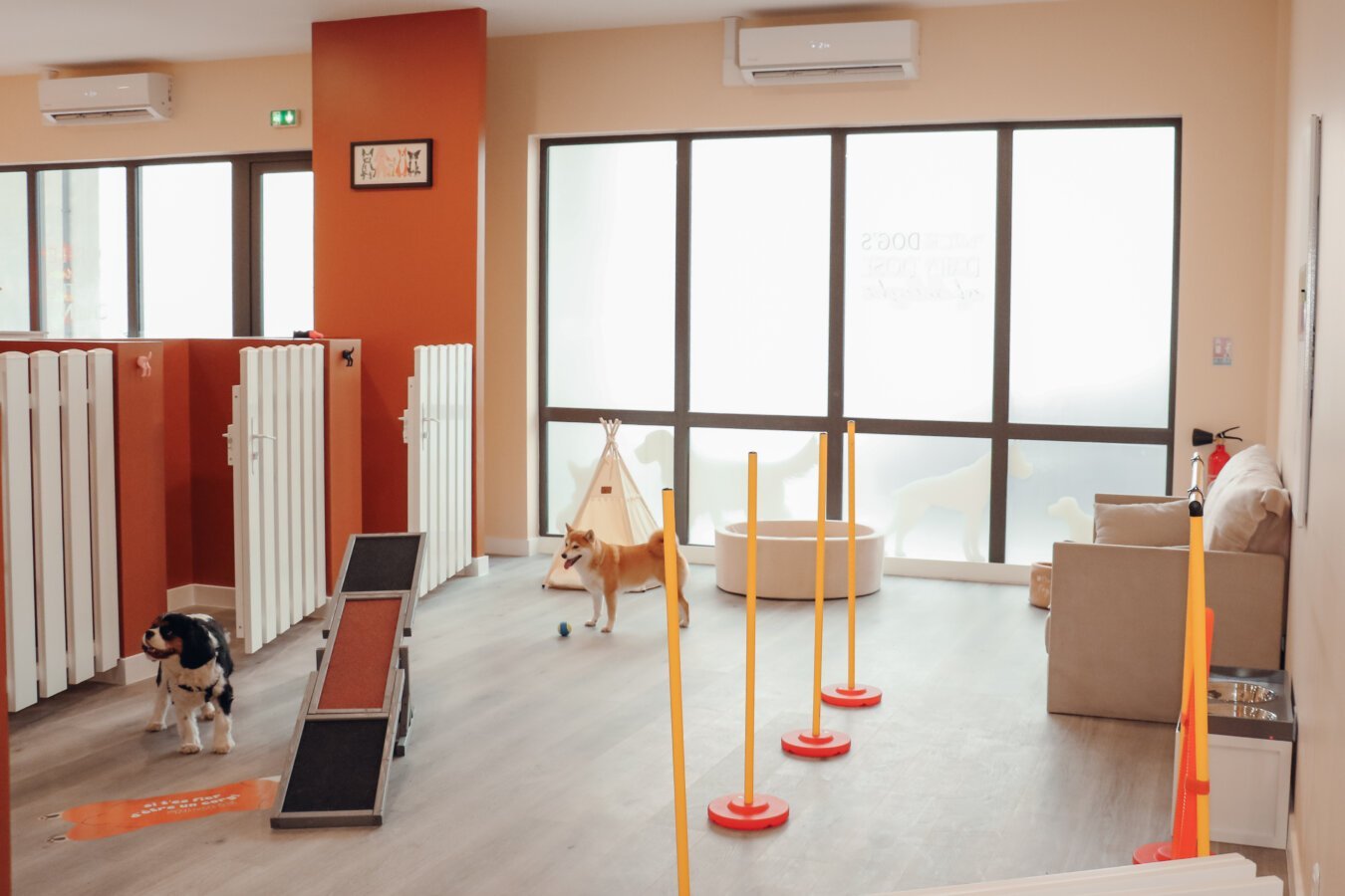 Garderie et Pension Canine Dog Daycare