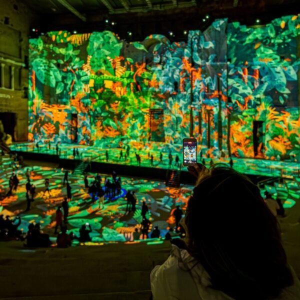 Visite immersive Dog friendly au Théâtre Antique d'Orange dans le Vaucluse en Provence