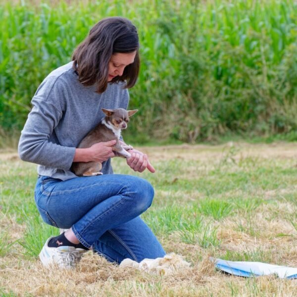 Ostéopathe Animalier Carole GAUTIER aux Sables d'Olonne en Vendée, Professionnelle en soins et bien être animalier