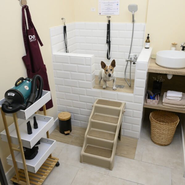 Garderie et Pension Canine Dog Daycare