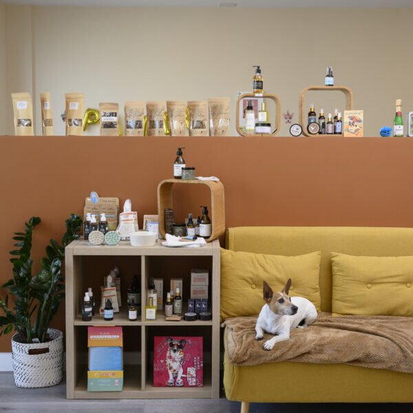 Garderie et Pension Canine Dog Daycare