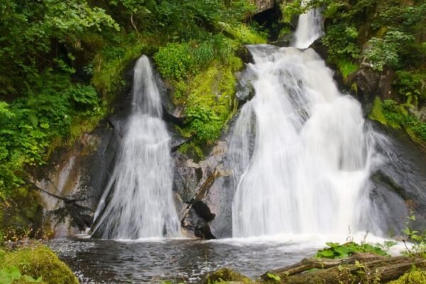 Le Cirque de Saint-Même