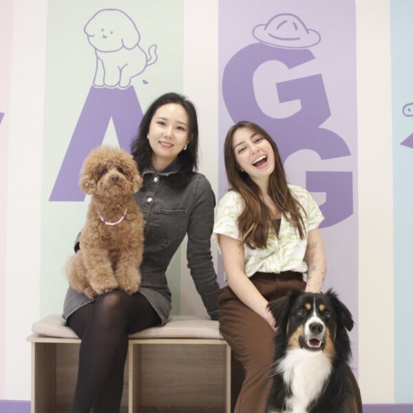 La Team de la Crèche Waggy , Garderie Canine à Paris 14ème