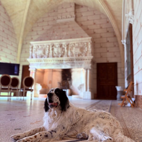 Abbaye de Valmagne