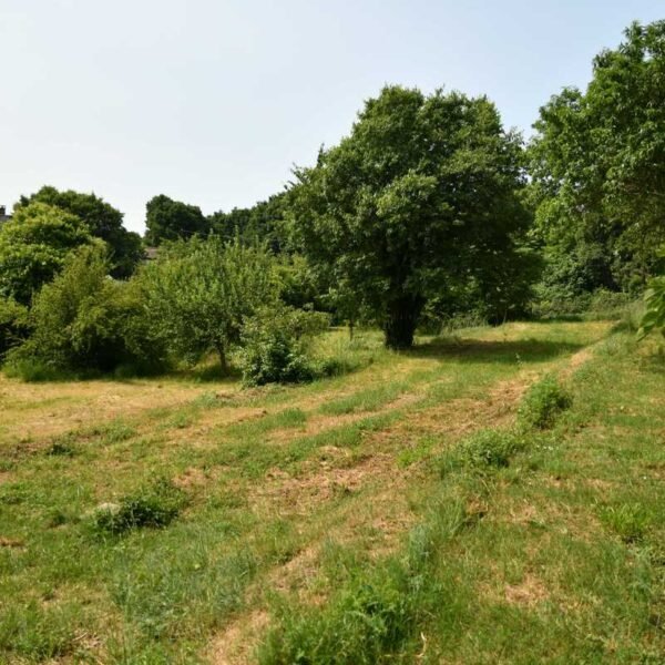 Grand terrain clos des Gîtes du Mas du Ranquet dans les Cévennes gardoises dans le Sud de la France