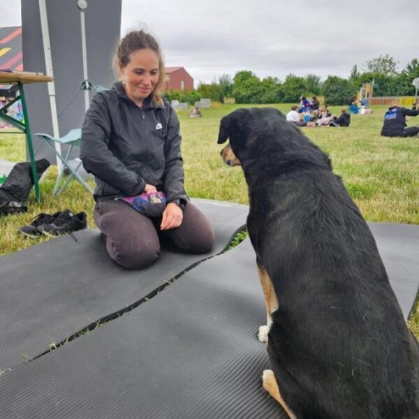 Chien en séance massage chez Blablanimals Massages et Bien être Animal et comportementaliste en Seine et Marne à Pontault-Combault et A Domicile proche de Paris