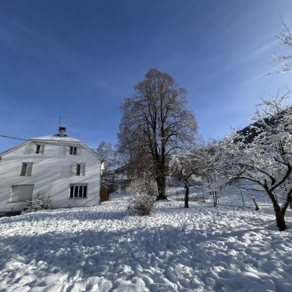 L'hiver sous la neige au Gîte Le Clos de Félicie dans les Vosges à La Bresse en Montagne