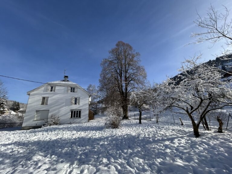 L'hiver sous la neige au Gîte Le Clos de Félicie dans les Vosges à La Bresse en Montagne