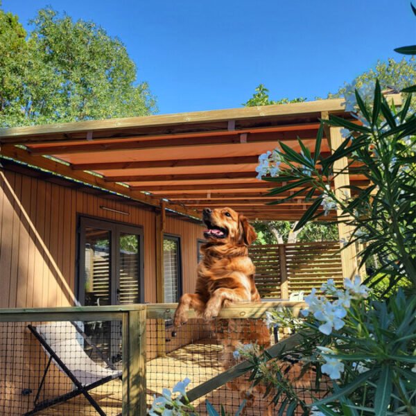 Chien sur la terrasse d'un mobil home au Camping Le Val de Cesse dans l'Aude en Occitanie