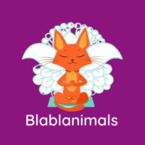 Logo Blablanimals Massages et Bien être Animal et comportementaliste en Seine et Marne à Pontault-Combault et A Domicile proche de Paris
